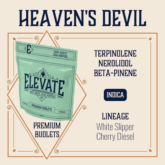 Elevate Missouri - Heaven's Devil - 7g Budlets - 1