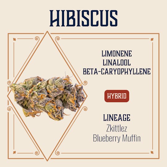 Elevate Missouri - Hibiscus - 3.5g - 1