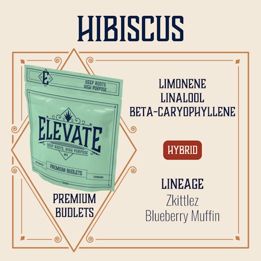 Elevate Missouri - Hibiscus - 7g Budlets - 1