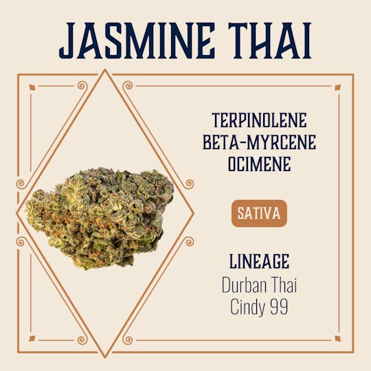 Elevate Missouri - Jasmine Thai - 3.5g - 1