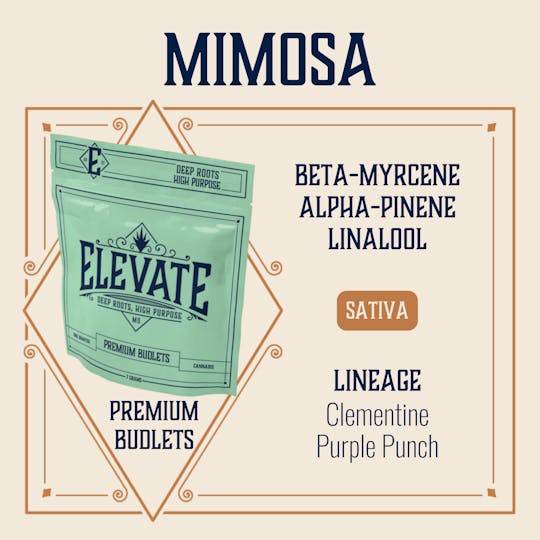 Elevate Missouri - Mimosa - 7g Budlets - 1