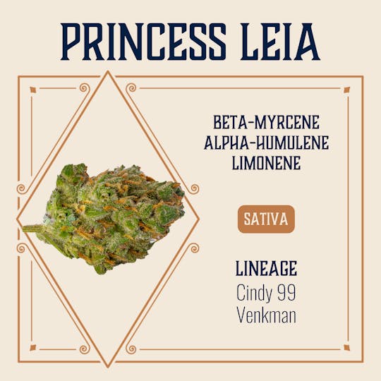 Elevate Missouri - Princess Leia - 3.5g - 1