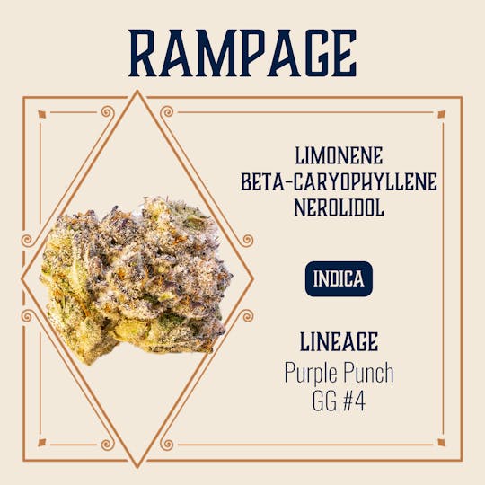 Elevate Missouri - Rampage - 3.5g - 1