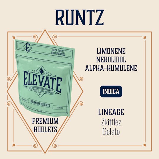 Elevate Missouri - Runtz - 7g Budlets - 1