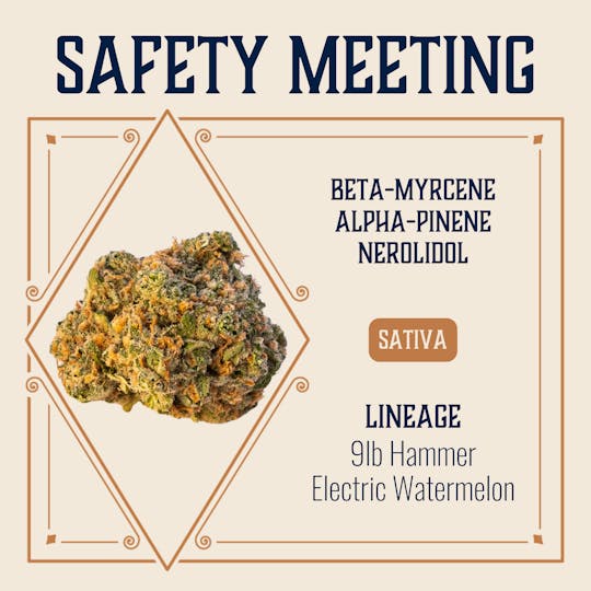 Elevate Missouri - Safety Meeting - 3.5g - 1