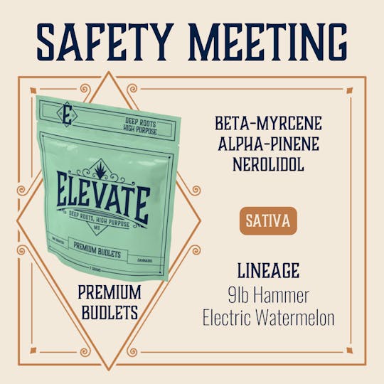 Elevate Missouri - Safety Meeting - 7g Budlets - 1