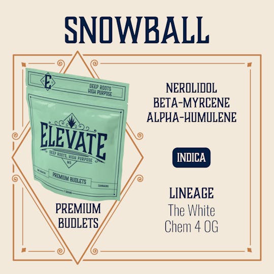 Elevate Missouri - Snowball - 7g Budlets - 1