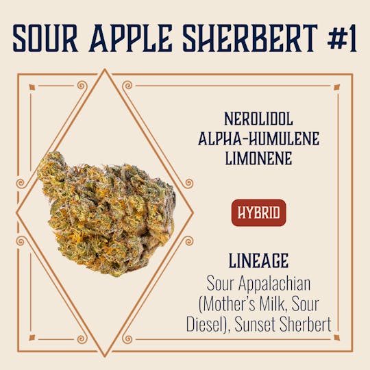 Elevate Missouri - Sour Apple Sherbert #1 - 3.5g - 1