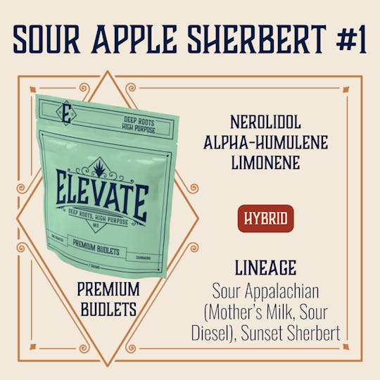 Elevate Missouri - Sour Apple Sherbert #1 - 7g Budlets - 1