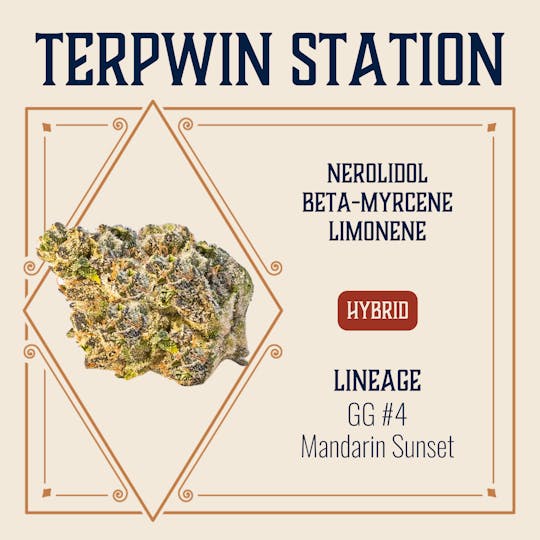 Elevate Missouri - Terpwin Station - 3.5g - 1