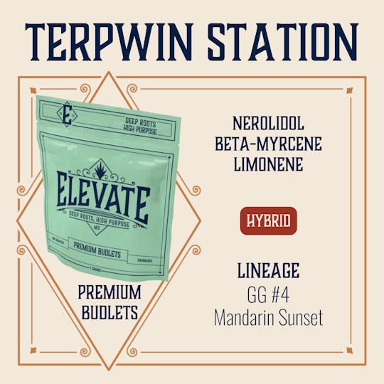 Elevate Missouri - Terpwin Station - 7g Budlets - 1