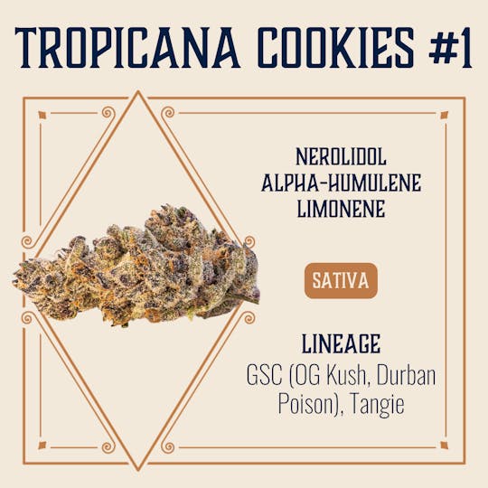 Elevate Missouri - Tropicana Cookies #1 - 14g - 1
