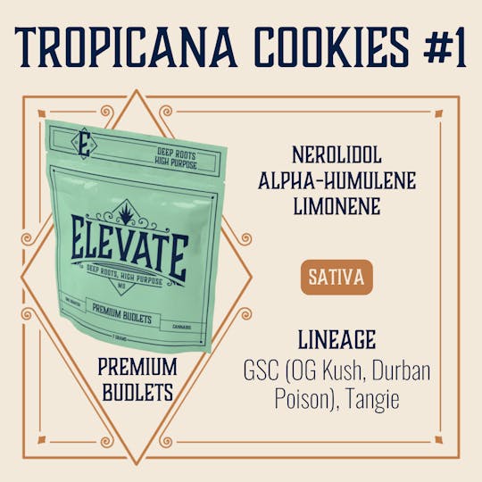Elevate Missouri - Tropicana Cookies #1 - 7g Budlets - 1