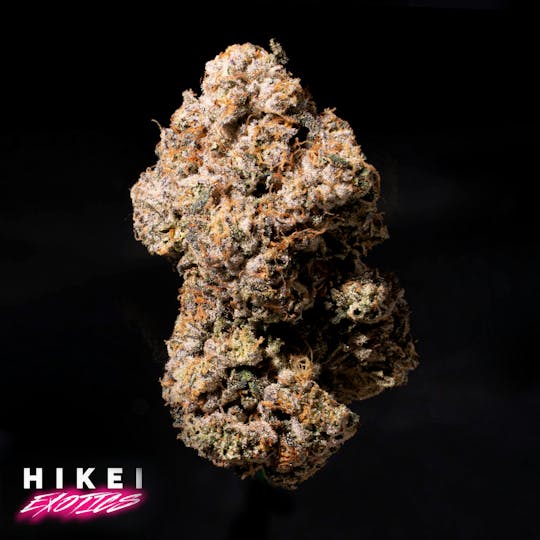 Hikei Exotics - High Octane Gelato X AMF 28g Zip - 1
