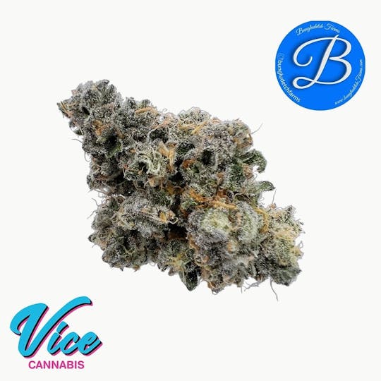 Vice Cannabis - Bungludetch - Blue Slushie: Flower - 1
