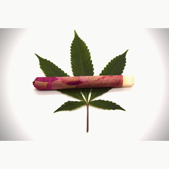 The Maine Cannagar Co - Gas Basket + Sour Sniffits - Rose Cannon - 1