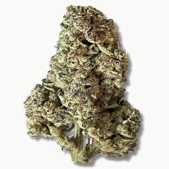 Smoakland - Sierra Hills - Top Gun (H) - 28g - 1