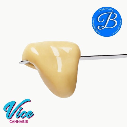 Vice Cannabis - Bungludetch: Sherb n Runtz Hash Rosin 1g - 1