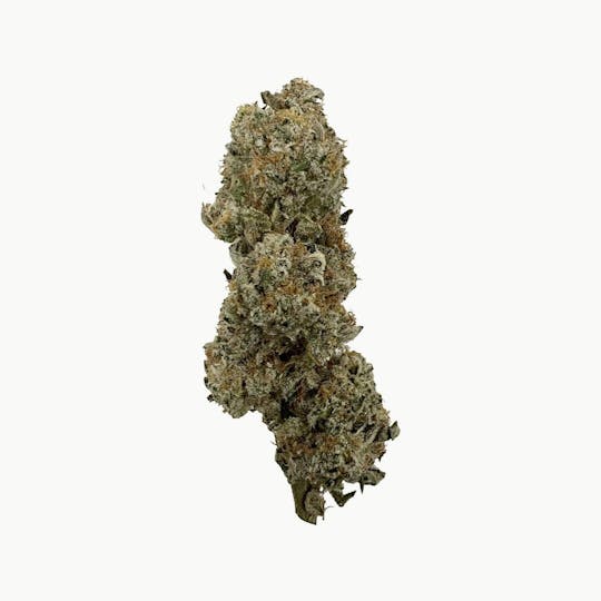 Indico - East Coast Sour Diesel - Pine Tree Apothecary - 1