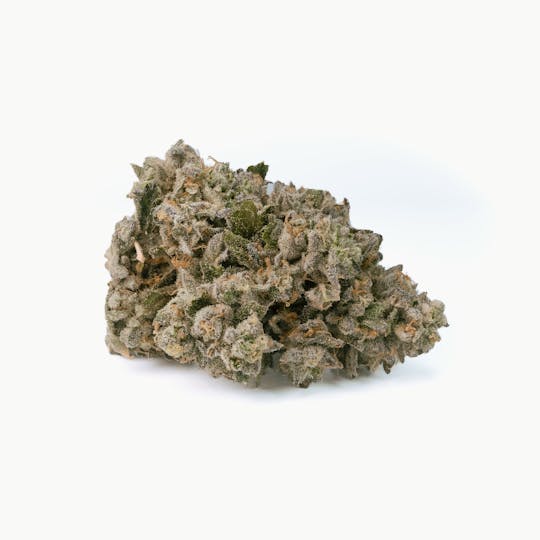 BeWell Organic Medicine - Detroit Runtz 3.5g Flower - 1
