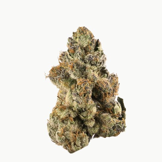 Animal - Coco Jumbo- Indica - 31% THC - 1