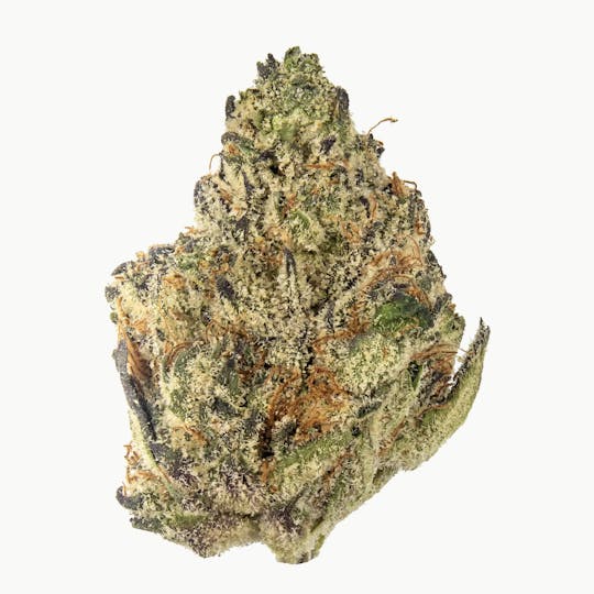 Animal - Cream Latte - Hybrid - 32.96% THC - 1