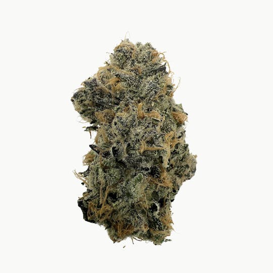 Indico - Melon Pounder - Bungludetch Farms - 1