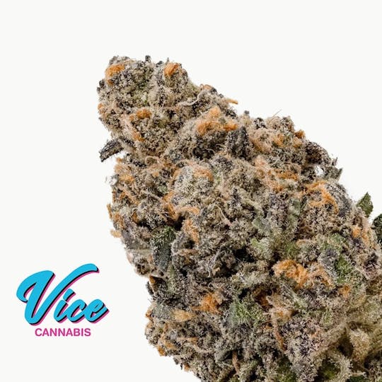 Vice Cannabis - Gelato Runtz: Flower - 1