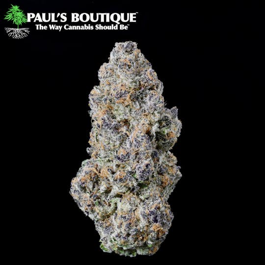 Paul's Boutique - Blockberry - 1