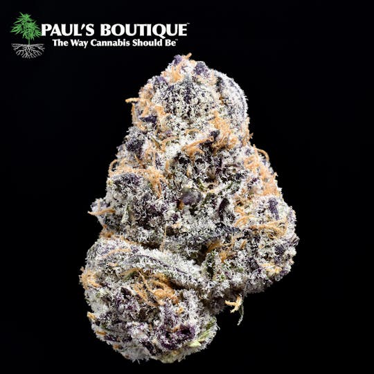 Paul's Boutique - Black Kandy Kush - 1
