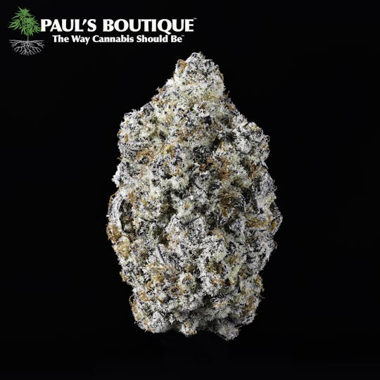 Paul's Boutique - Oreoz - 1