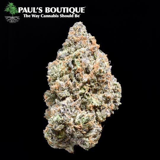 Paul's Boutique - Marmalade - 1