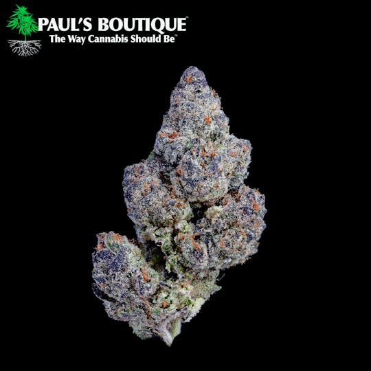 Paul's Boutique - Kandyland - 1