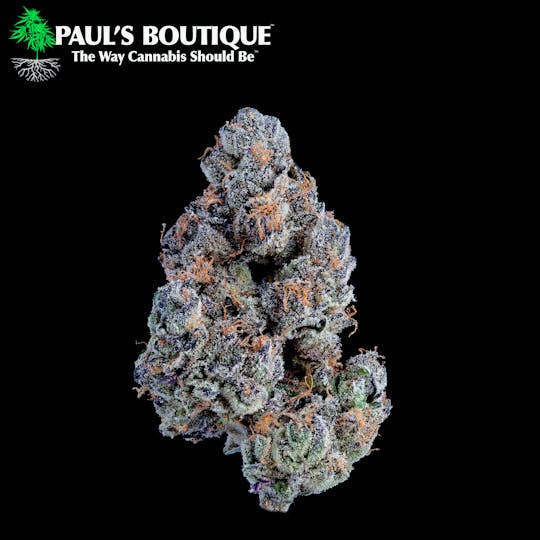 Paul's Boutique - Cereal Milk - 1