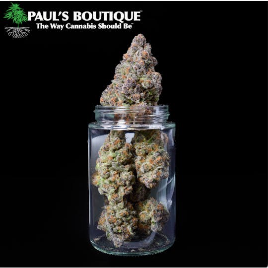 Paul's Boutique - Cryo Kush "Garlic Cookies" - 1