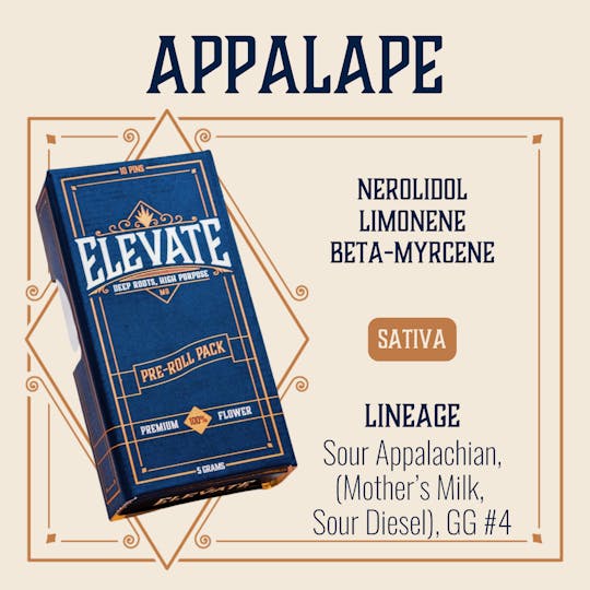 Elevate Missouri - AppalApe - 5g Pin Pack - 1
