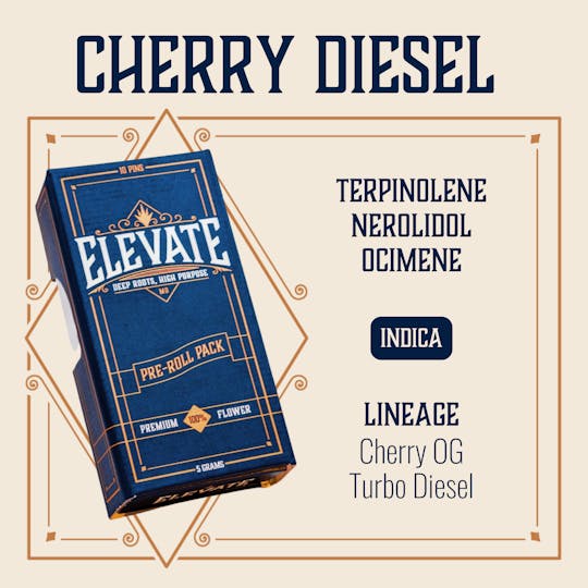 Elevate Missouri - Cherry Diesel - 5g Pin Pack - 1