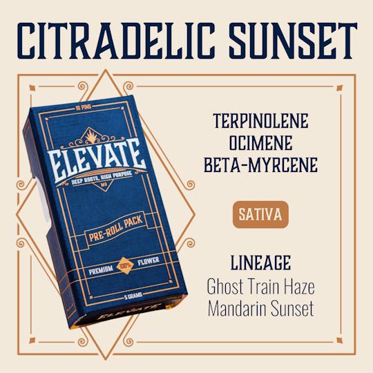 Elevate Missouri - Citradelic Sunset - 5g Pin Pack - 1