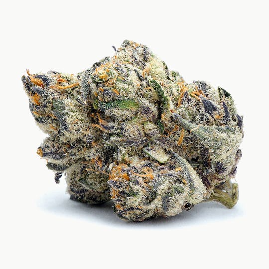 High Tide Organics - Runtz OG | Indoor 3.5g - 1