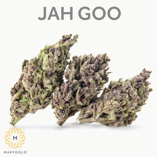 Marygold - Jah Goo 3.5g (29% THC Hybrid) - 1