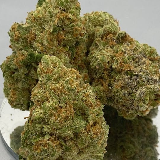 New Moon Cultivation - Citrus Palisades *GOLD TIER* - 1