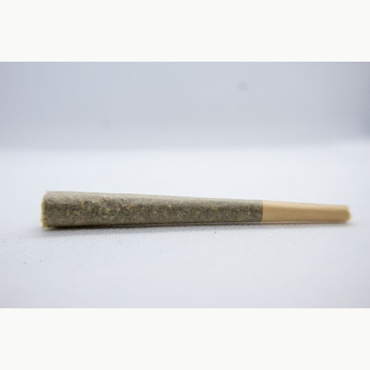 Lake Life Farms - Tropicana Punch 1g Infused Pre-Roll - 1