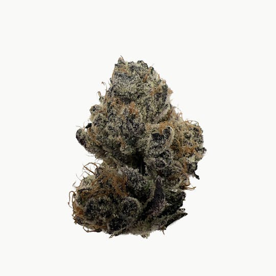Indico - Animal Style -STR8 CHRONIC - 1