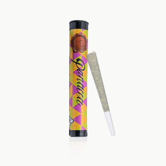 Panacea - Cherry Runtz | Indoor Preroll | 1g - 1
