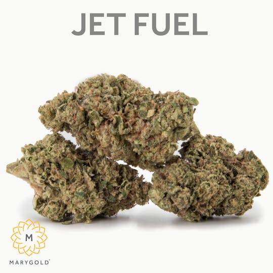Marygold - Jet Fuel 14g (29% THC Indica) - 1