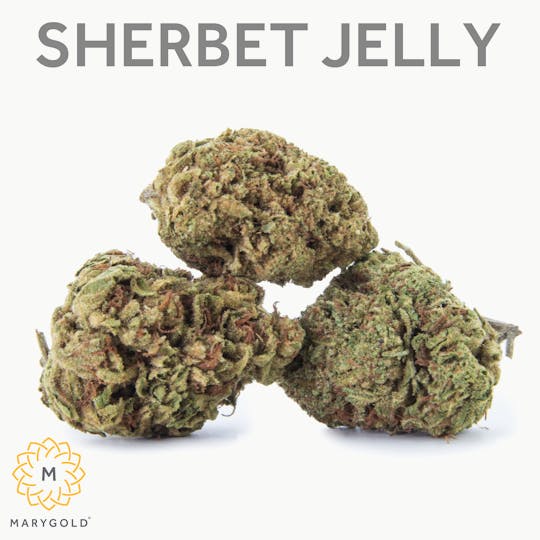 Marygold - Sherbet Jelly 14g (29% THC Hybrid) - 1