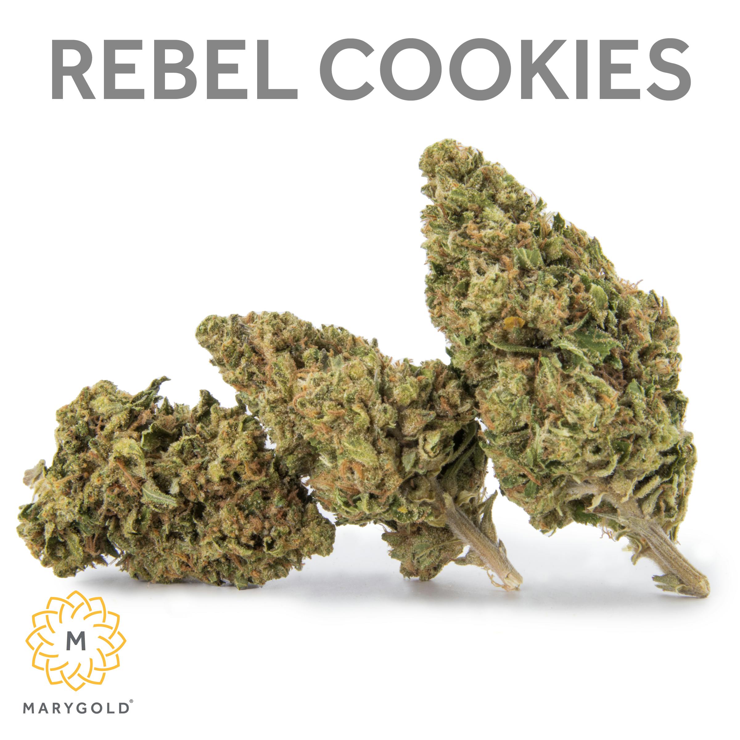 Marygold - Rebel Cookies 3.5g (Hybrid 30% THC) - 1