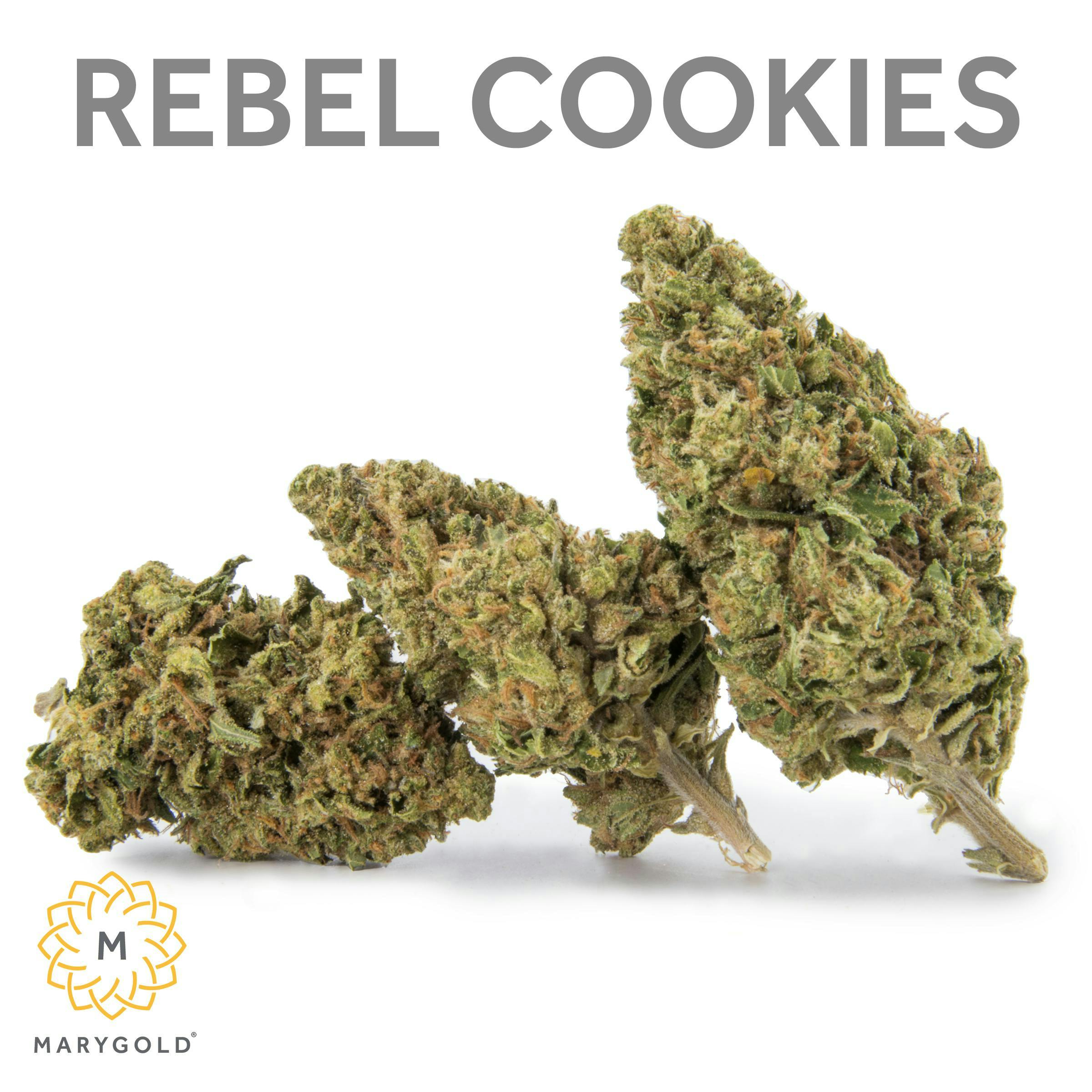 Marygold - Marygold | Rebel Cookies | Big Buds | 14g - 1