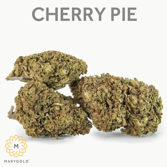 Marygold - Cherry Pie 14g (Hybrid 23% THC) - 1