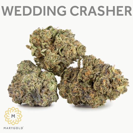 Marygold - Wedding Crasher 14g (Hybrid 27% THC) - 1